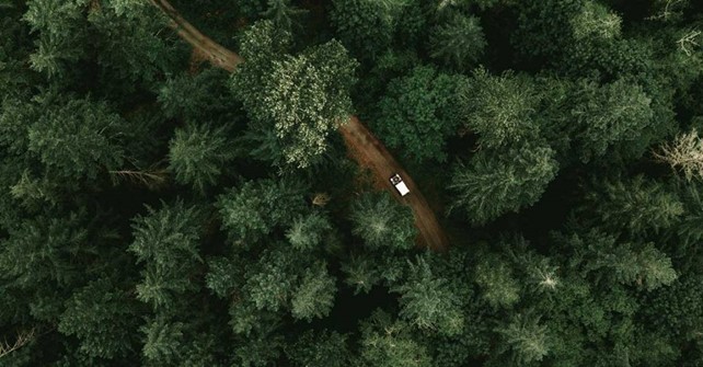 Point cloud cung cấp các thông tin liên quan trong lĩnh vực lâm nghiệp