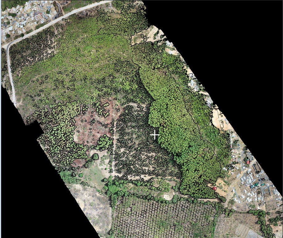 Những lợi ích mà LiDar mang lại trong việc quản  lý rừng