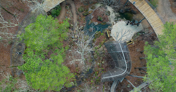 Tree House nhìn từ trên cao